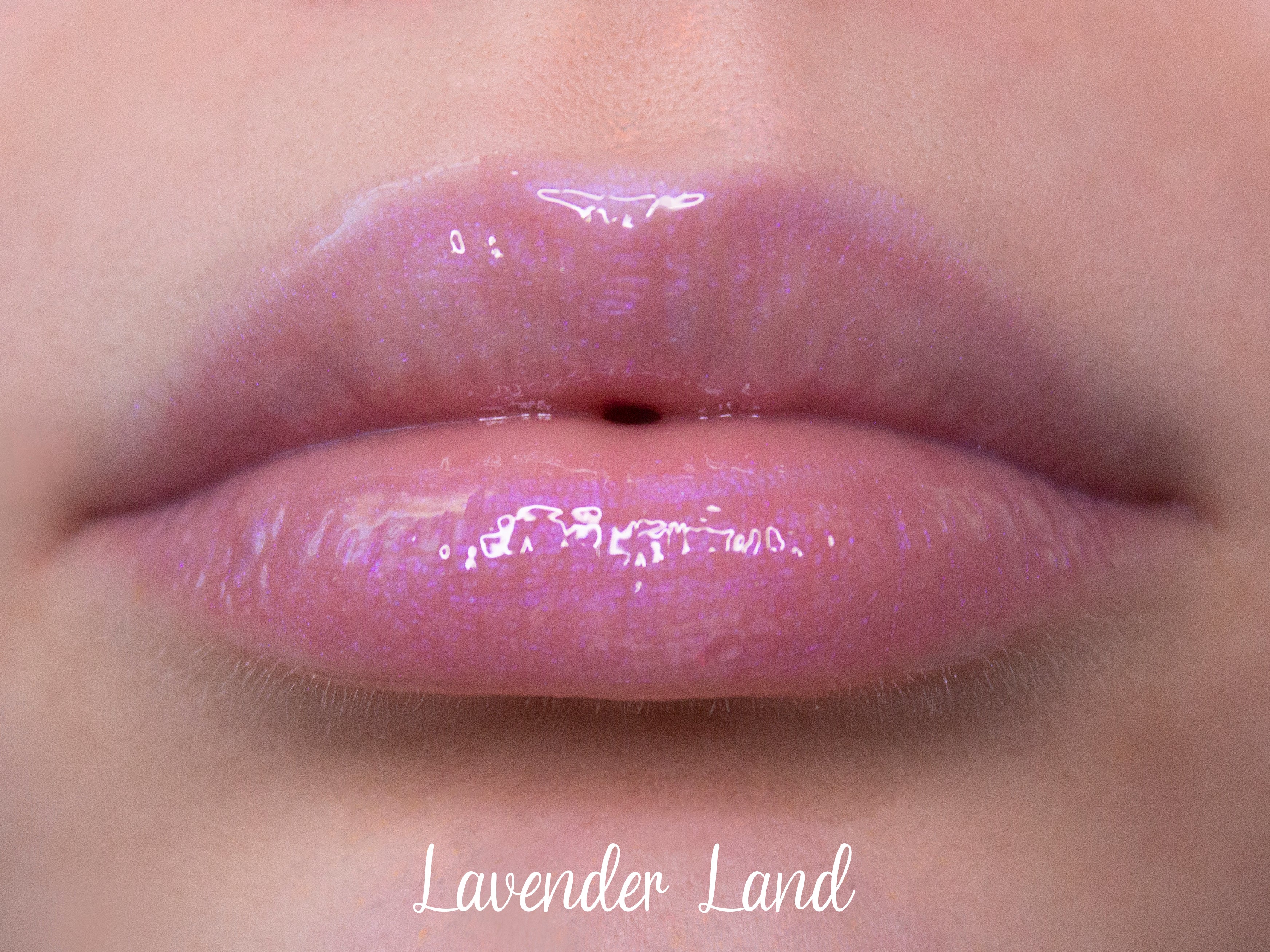 Lavender Land – Lavender Land Beauty